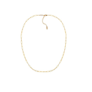 Dainty Gold Filled Chain